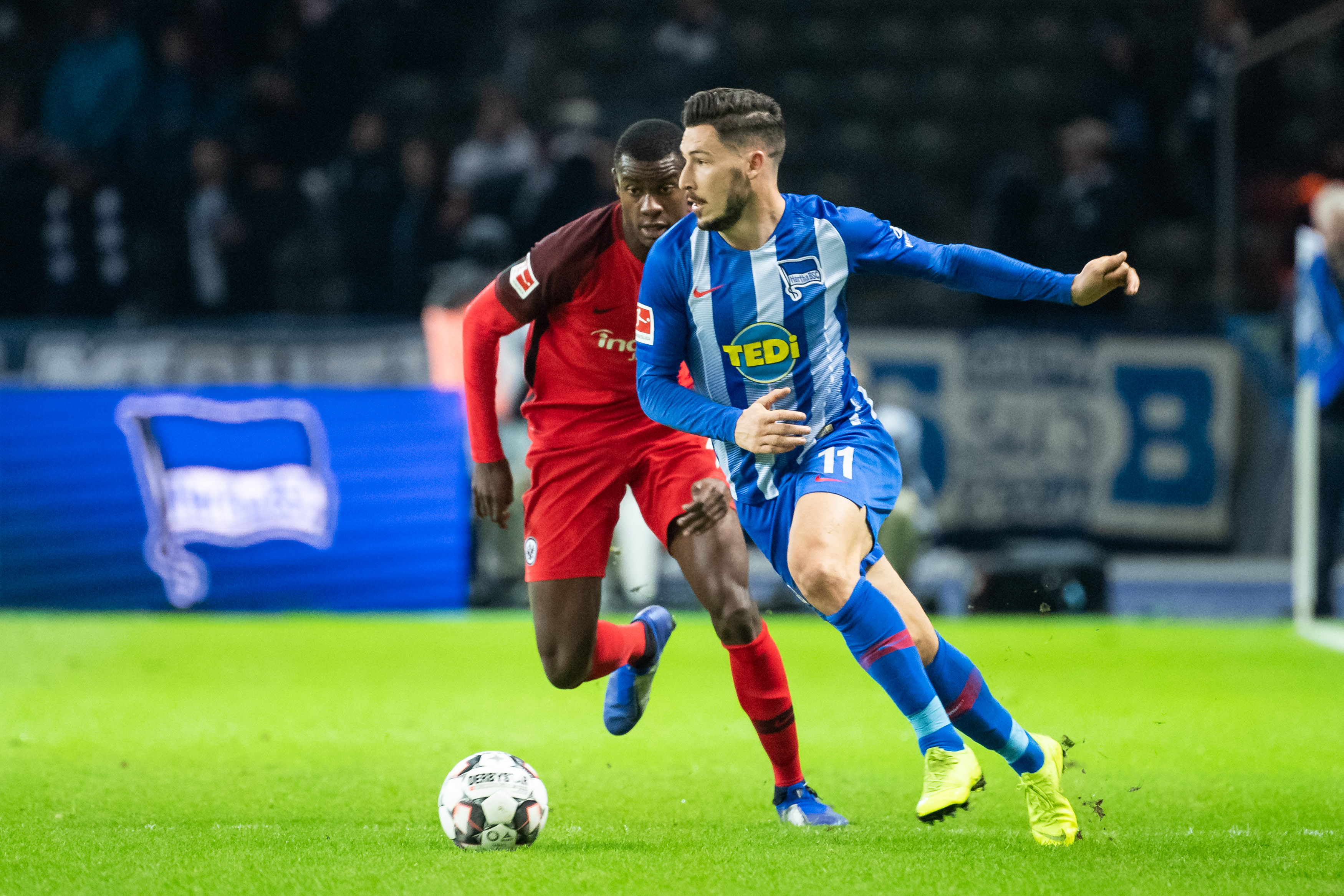 能够在专业 能够在专业