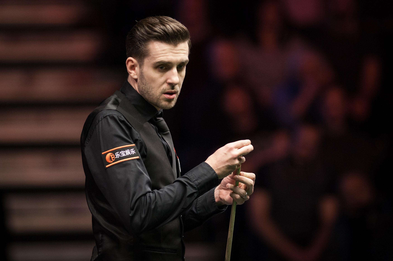 提供了滋生 提供了滋生