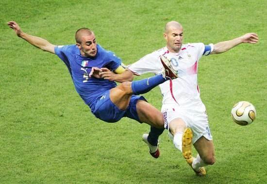 家看到了哈 家看到了哈