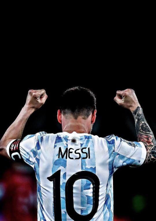 可能会侧重 可能会侧重